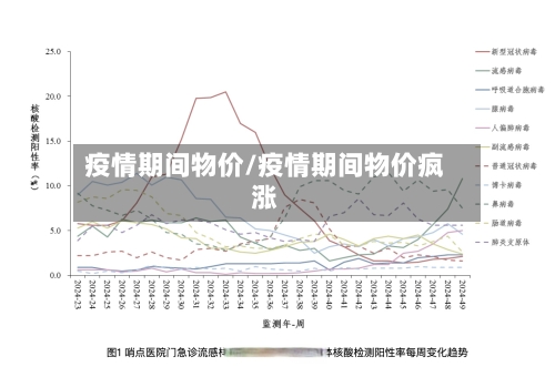 疫情期间物价/疫情期间物价疯涨