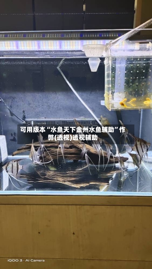 可用版本“水鱼天下金州水鱼辅助”作弊(透视)透视辅助