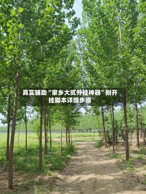 真实辅助“家乡大贰外挂神器”附开挂脚本详细步骤