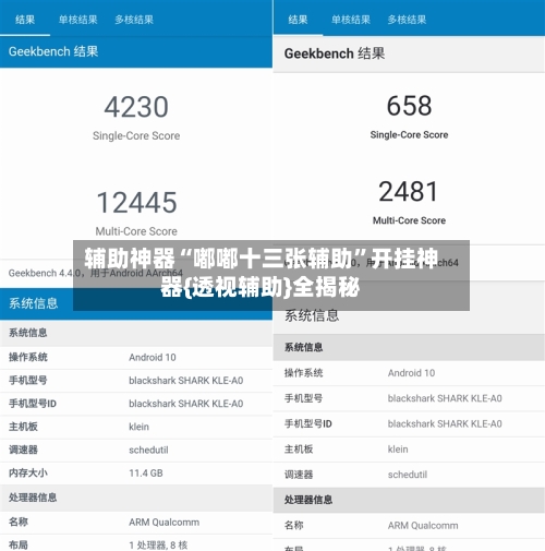 辅助神器“嘟嘟十三张辅助	”开挂神器{透视辅助}全揭秘-第2张图片