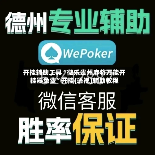 开挂辅助工具“微乐贵州麻将万能开挂器免费”开挂(透视)辅助教程-第3张图片