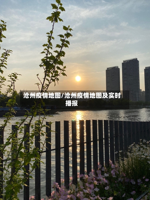 沧州疫情地图/沧州疫情地图及实时播报