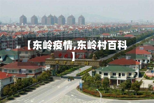 【东岭疫情,东岭村百科】