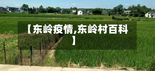 【东岭疫情,东岭村百科】-第2张图片