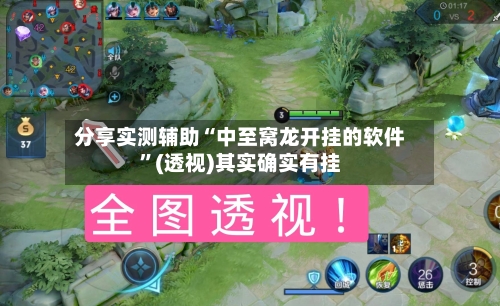 分享实测辅助“中至窝龙开挂的软件”(透视)其实确实有挂-第3张图片