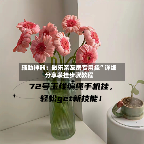 辅助神器：微乐亲友房专用挂”详细分享装挂步骤教程-第3张图片