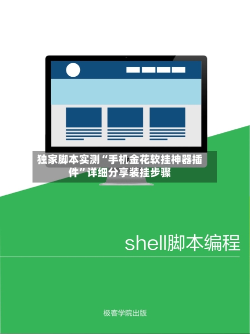 独家脚本实测“手机金花软挂神器插件”详细分享装挂步骤