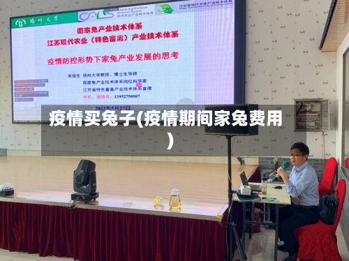 疫情买兔子(疫情期间家兔费用)