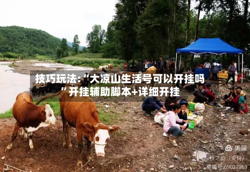 技巧玩法:“大凉山生活号可以开挂吗”开挂辅助脚本+详细开挂-第3张图片