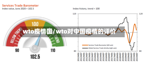 wto疫情国/wto对中国疫情的评价