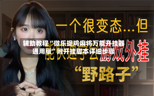 辅助教程“微乐捉鸡麻将万能开挂器通用版”附开挂脚本详细步骤-第3张图片