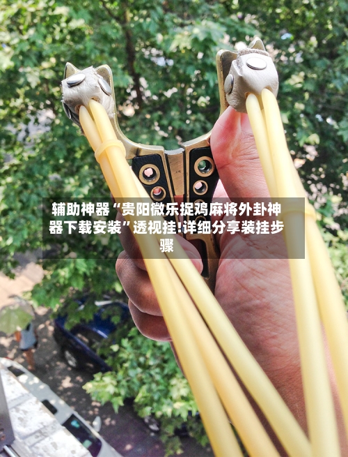 辅助神器“贵阳微乐捉鸡麻将外卦神器下载安装”透视挂!详细分享装挂步骤