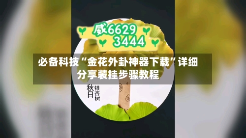 必备科技“金花外卦神器下载”详细分享装挂步骤教程-第1张图片