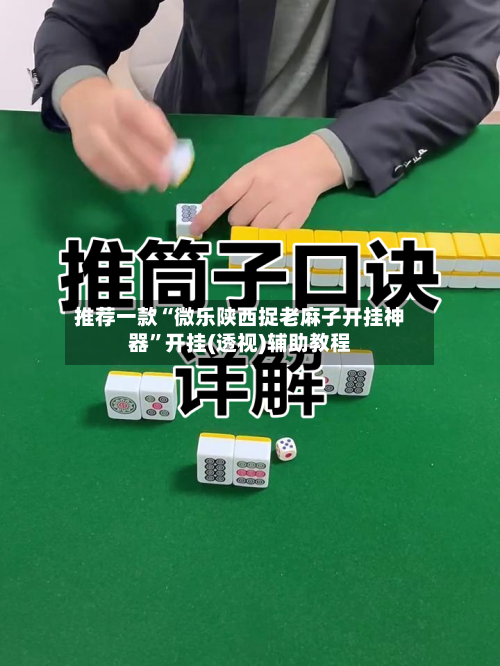 推荐一款“微乐陕西捉老麻子开挂神器”开挂(透视)辅助教程-第2张图片