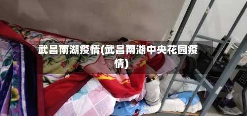 武昌南湖疫情(武昌南湖中央花园疫情)