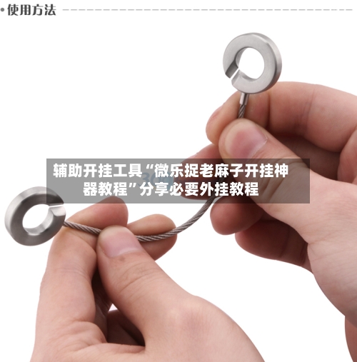 辅助开挂工具“微乐捉老麻子开挂神器教程”分享必要外挂教程-第2张图片