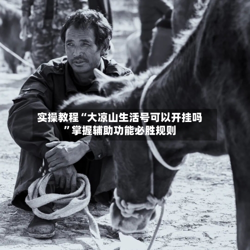 实操教程“大凉山生活号可以开挂吗”掌握辅助功能必胜规则