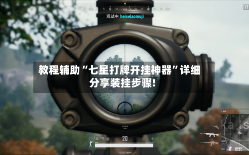 教程辅助“七星打牌开挂神器”详细分享装挂步骤!-第3张图片