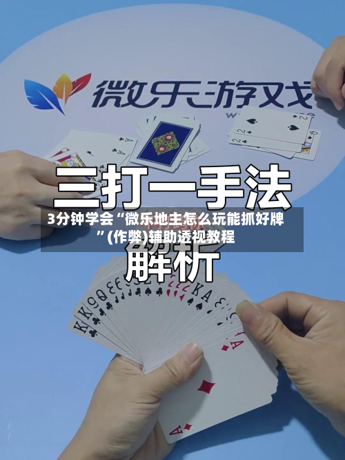 3分钟学会“微乐地主怎么玩能抓好牌”(作弊)辅助透视教程-第3张图片