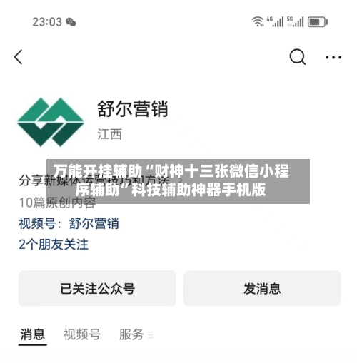 万能开挂辅助“财神十三张微信小程序辅助”科技辅助神器手机版-第2张图片