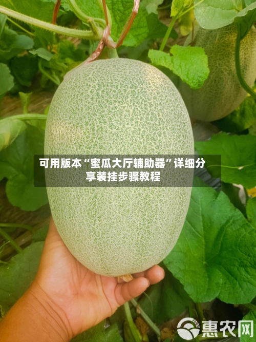 可用版本“蜜瓜大厅辅助器”详细分享装挂步骤教程