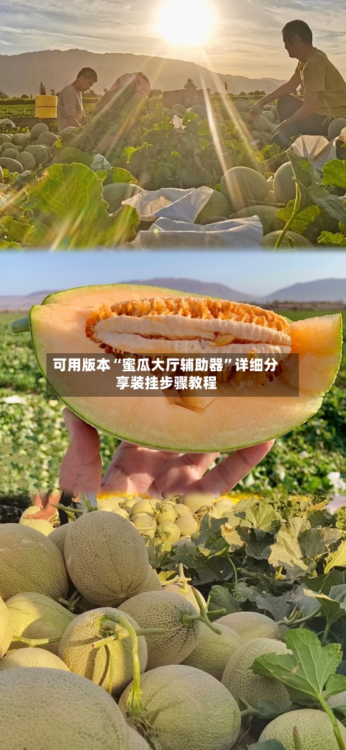 可用版本“蜜瓜大厅辅助器”详细分享装挂步骤教程-第3张图片