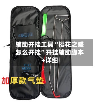 辅助开挂工具“樱花之盛怎么开挂”开挂辅助脚本+详细-第1张图片