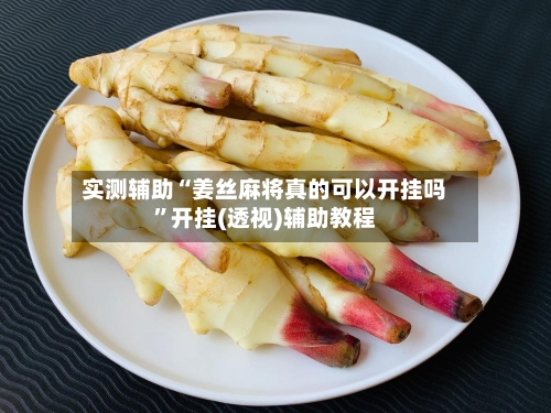 实测辅助“姜丝麻将真的可以开挂吗”开挂(透视)辅助教程