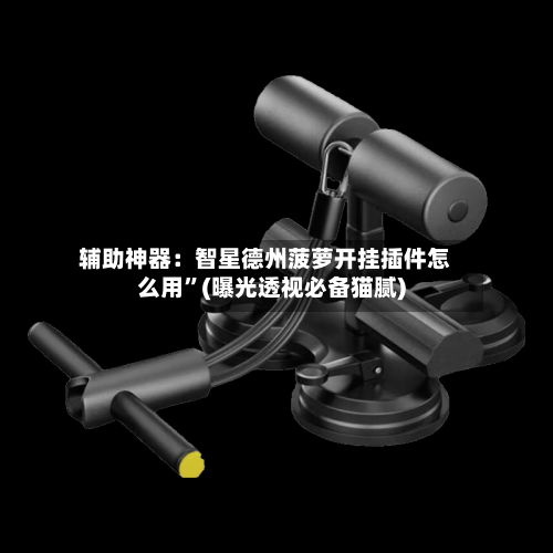 辅助神器：智星德州菠萝开挂插件怎么用”(曝光透视必备猫腻)