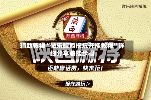 辅助教程“微乐陕西挖坑开挂教程”详细分享装挂步骤