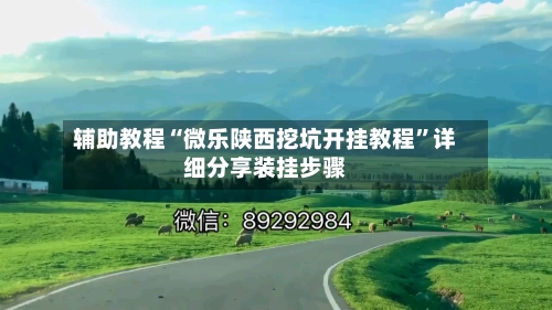 辅助教程“微乐陕西挖坑开挂教程	”详细分享装挂步骤-第2张图片