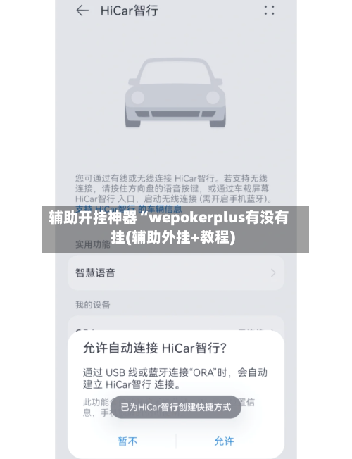 辅助开挂神器“wepokerplus有没有挂(辅助外挂+教程)-第3张图片