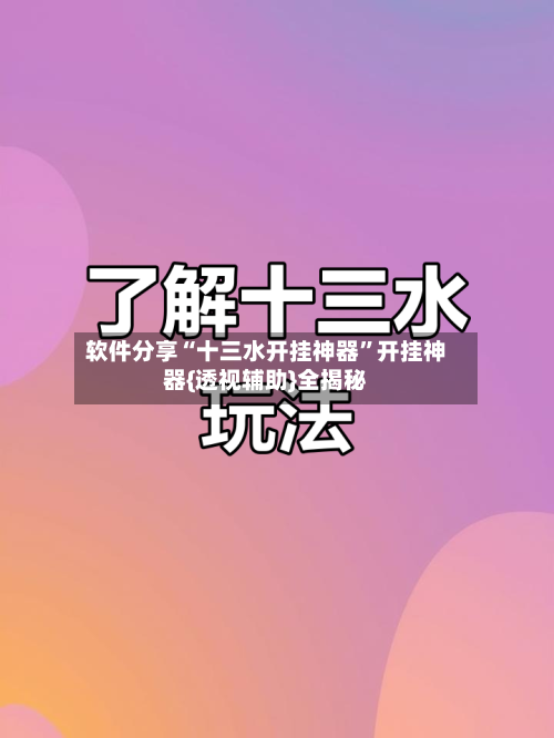 软件分享“十三水开挂神器”开挂神器{透视辅助}全揭秘-第3张图片