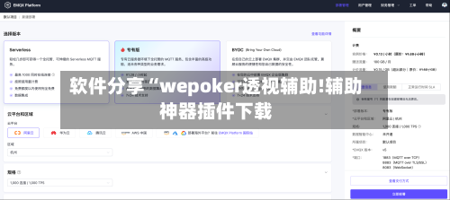 软件分享“wepoker透视辅助!辅助神器插件下载