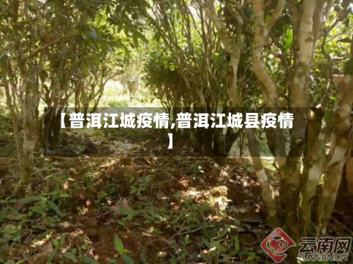 【普洱江城疫情,普洱江城县疫情】