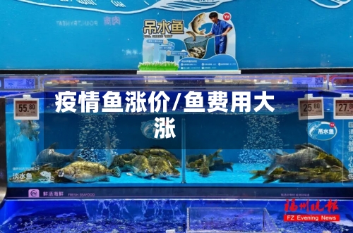 疫情鱼涨价/鱼费用大涨