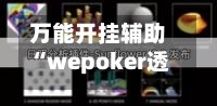 万能开挂辅助“wepoker透视真的吗”详细分享装挂步骤教程
