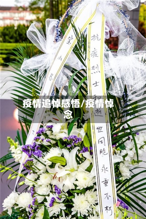 疫情追悼感悟/疫情悼念