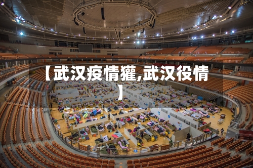【武汉疫情獾,武汉役情】-第1张图片