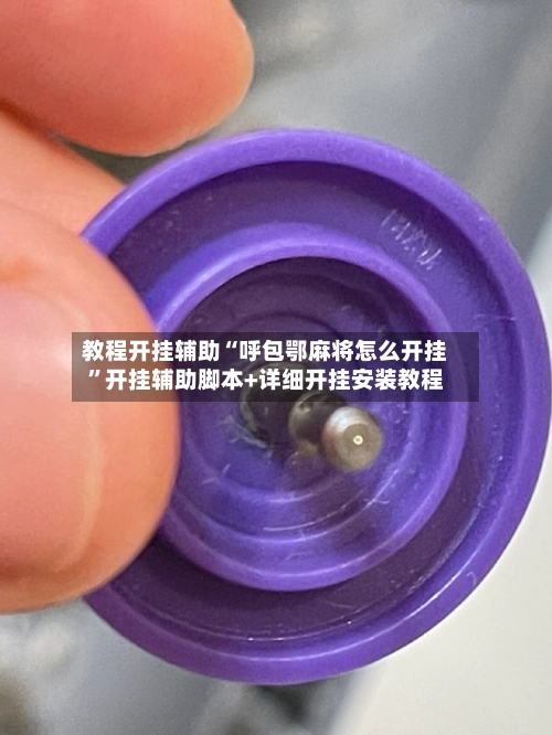 教程开挂辅助“呼包鄂麻将怎么开挂”开挂辅助脚本+详细开挂安装教程-第2张图片
