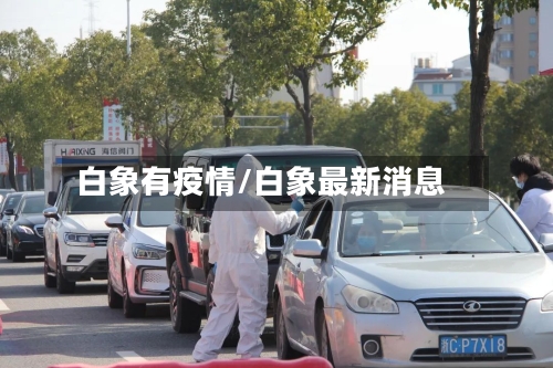 白象有疫情/白象最新消息-第2张图片