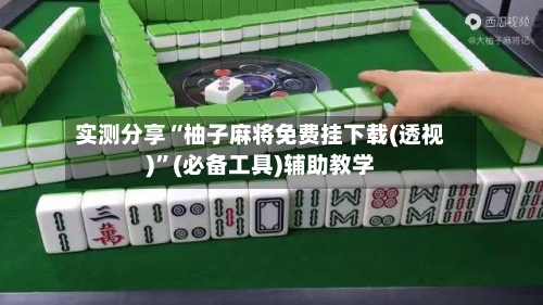 实测分享“柚子麻将免费挂下载(透视)”(必备工具)辅助教学-第3张图片