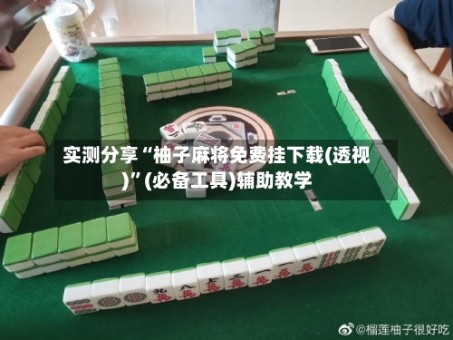 实测分享“柚子麻将免费挂下载(透视)”(必备工具)辅助教学-第1张图片