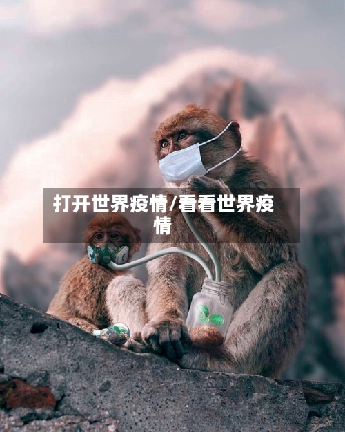 打开世界疫情/看看世界疫情