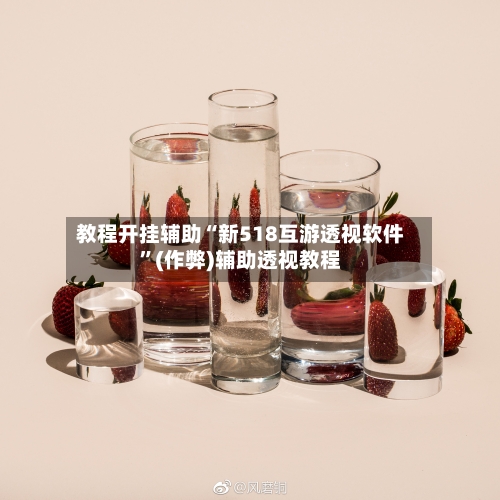 教程开挂辅助“新518互游透视软件	”(作弊)辅助透视教程-第1张图片