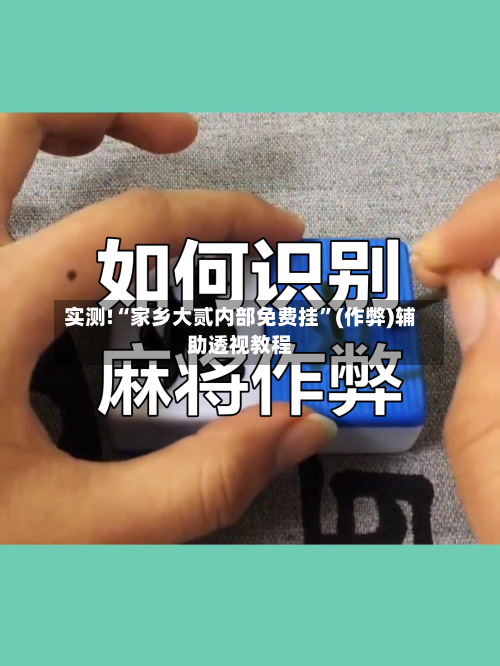 实测!“家乡大贰内部免费挂”(作弊)辅助透视教程-第2张图片