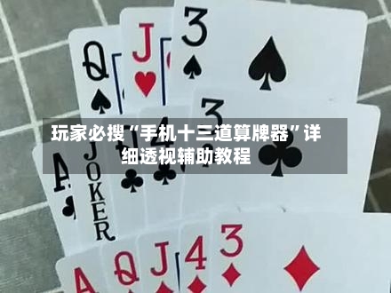 玩家必搜“手机十三道算牌器”详细透视辅助教程
