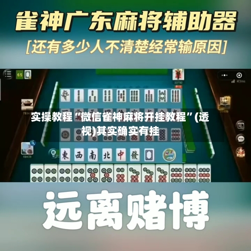 实操教程“微信雀神麻将开挂教程	”(透视)其实确实有挂-第2张图片