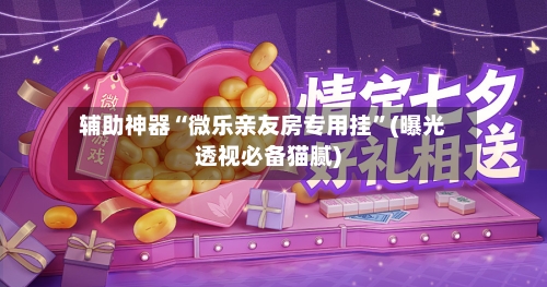 辅助神器“微乐亲友房专用挂	”(曝光透视必备猫腻)-第2张图片