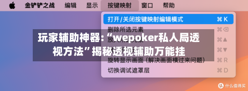 玩家辅助神器:“wepoker私人局透视方法	”揭秘透视辅助万能挂-第2张图片